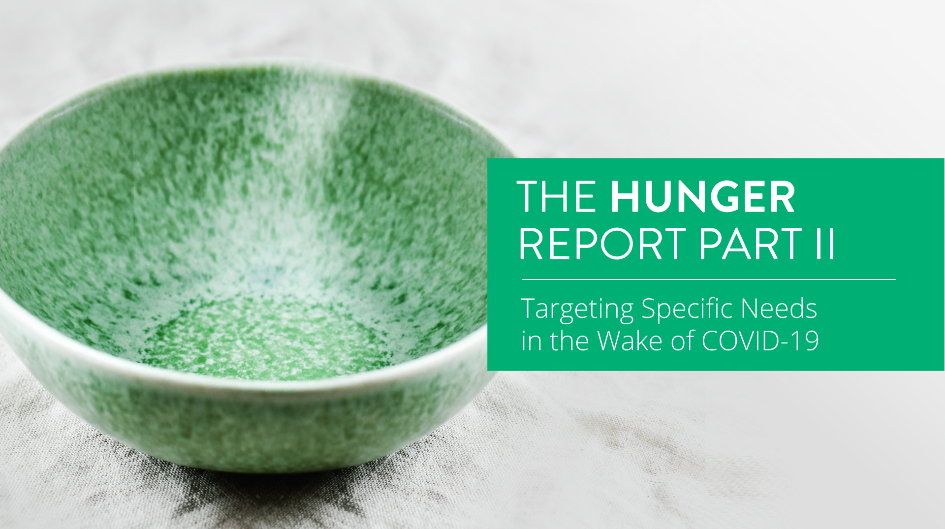 Hunger Report web banner